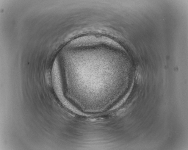 X0000070861490200607071844