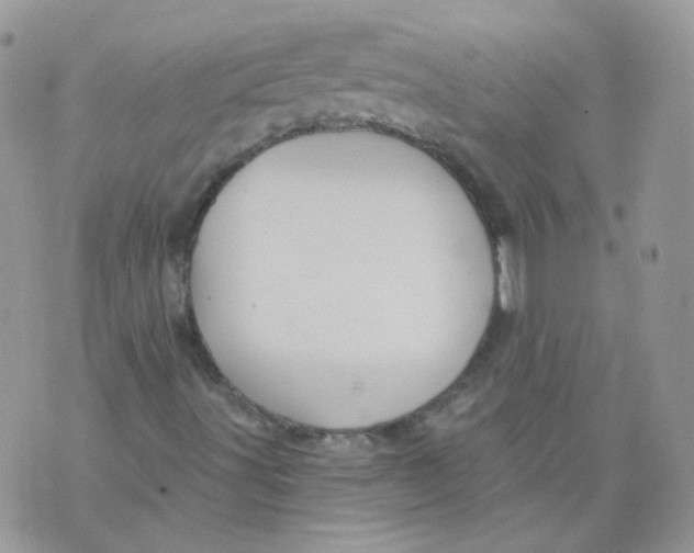 X0000070861491200607071844