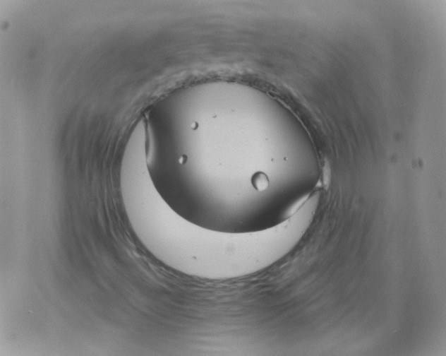 X0000070861492200607071844