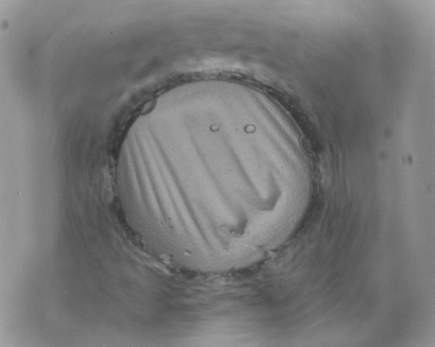 X0000070861493200607071844