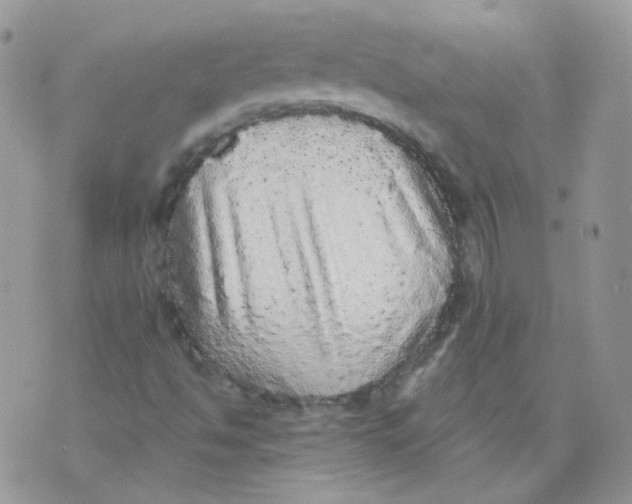 X0000070861494200607071844