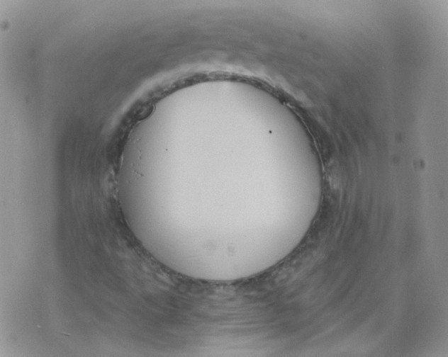 X0000070861495200607071844