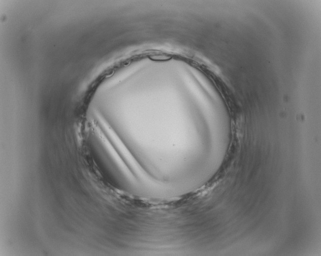 X0000070861496200607071844