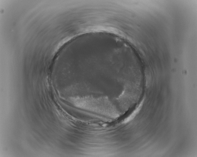 X0000070861497200607071844