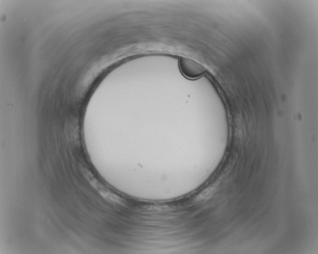 X0000070861499200607071844