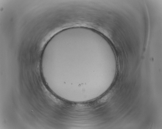 X0000070861500200607071844