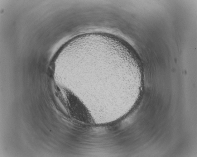 X0000070861501200607071844