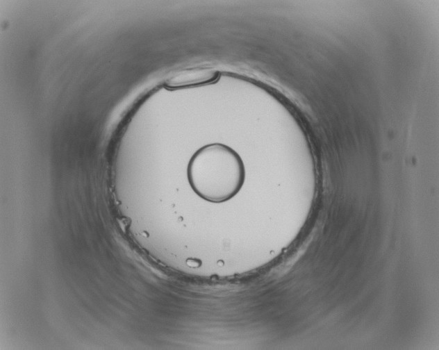 X0000070861502200607071844