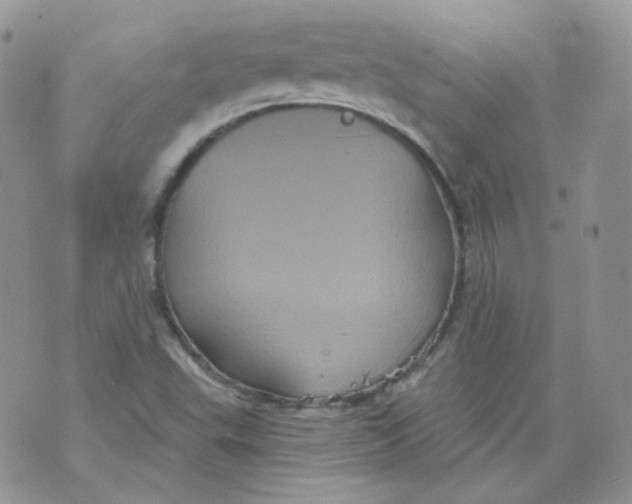 X0000070861503200607071844