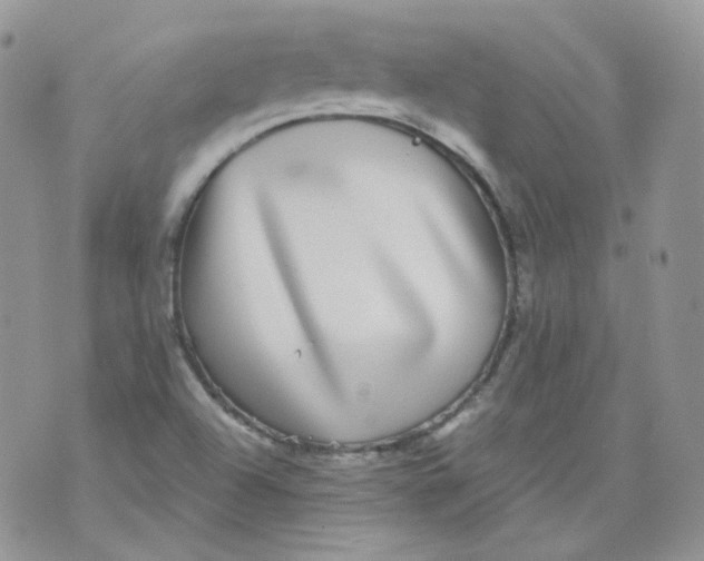 X0000070861504200607071844