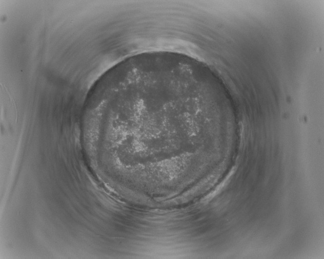 X0000070861505200607071844