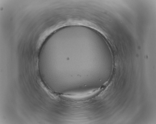 X0000070861507200607071844