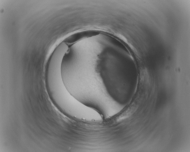 X0000070861508200607071844