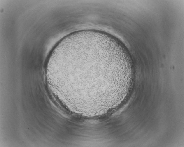 X0000070861509200607071844