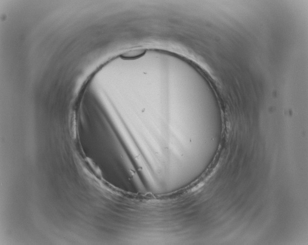 X0000070861510200607071844