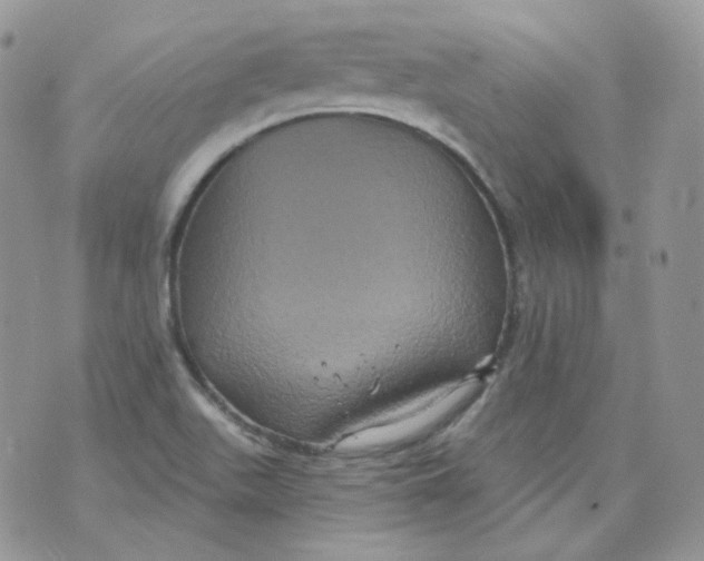 X0000070861511200607071844