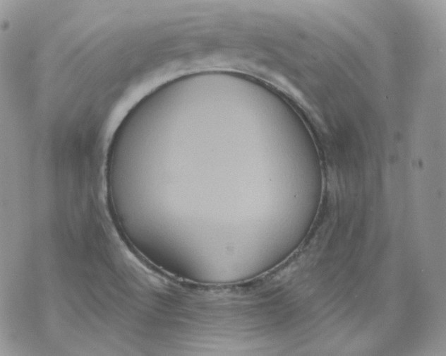 X0000070861512200607071844