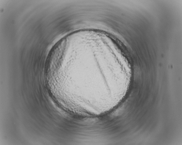 X0000070861513200607071845