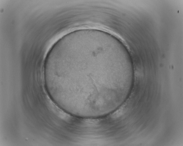 X0000070861514200607071845