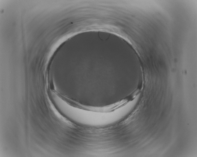 X0000070861515200607071845