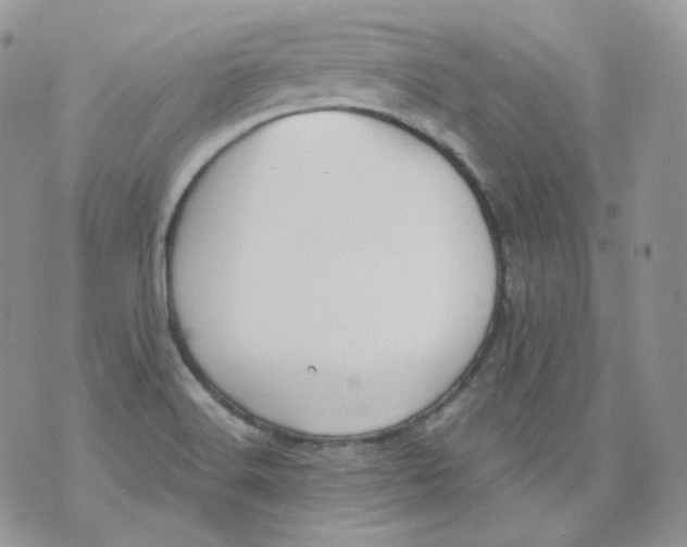 X0000070861516200607071845