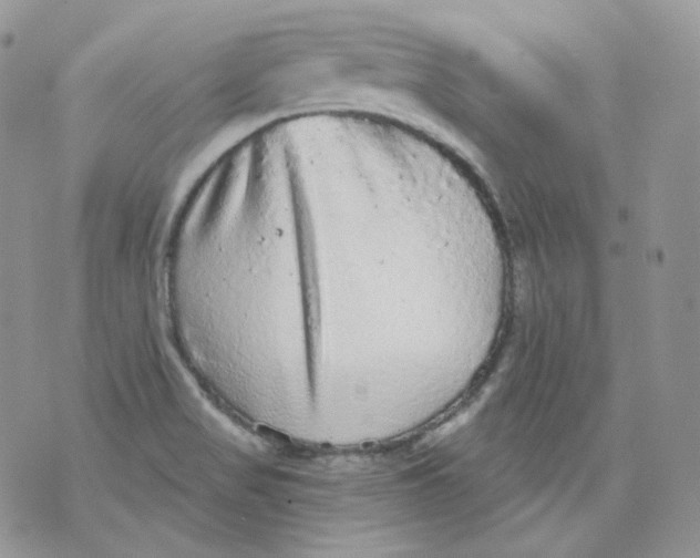 X0000070861517200607071845