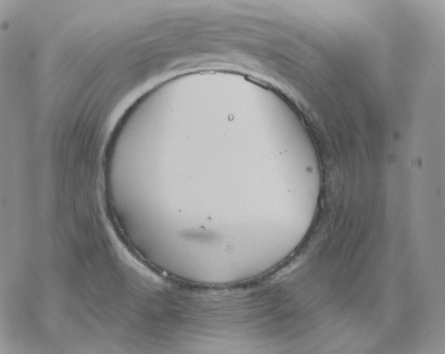 X0000070861518200607071845