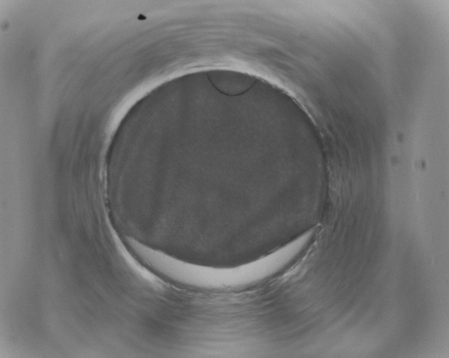 X0000070861519200607071845