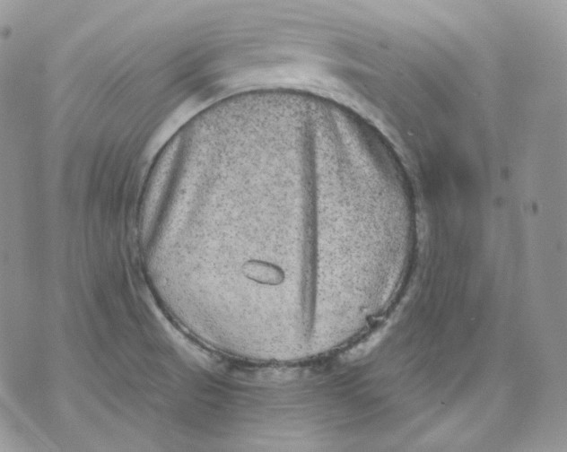 X0000070861521200607071845