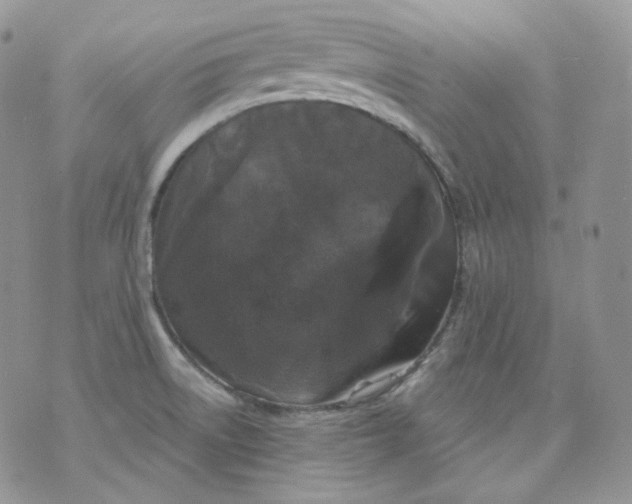 X0000070861522200607071845