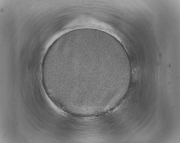 X0000070861523200607071845