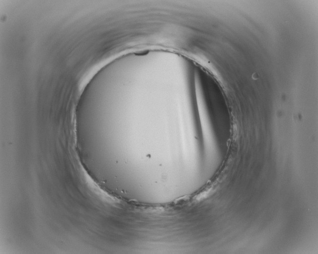 X0000070861524200607071845