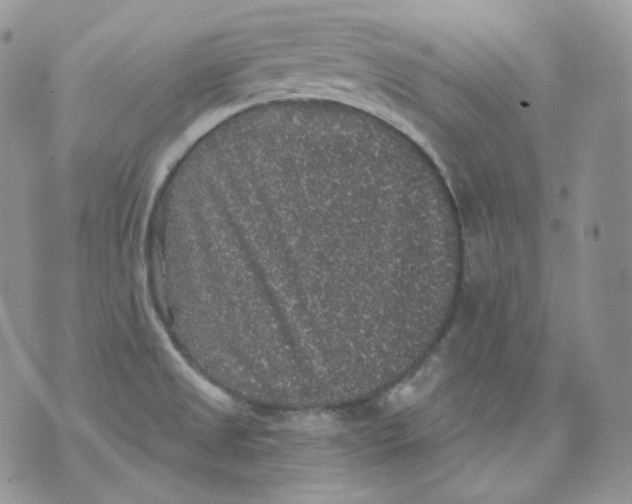 X0000070861525200607071845