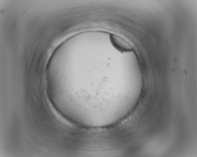 X0000070861526200607071845