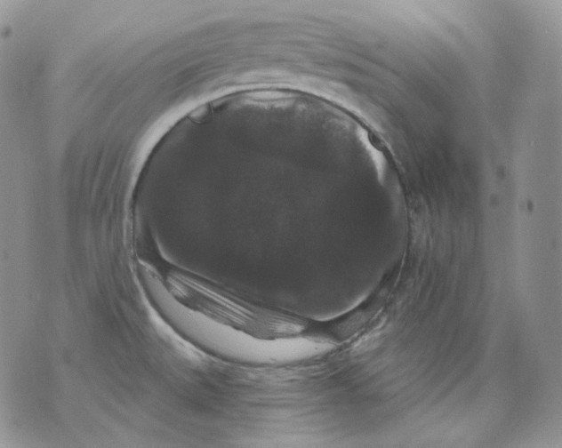 X0000070861527200607071845