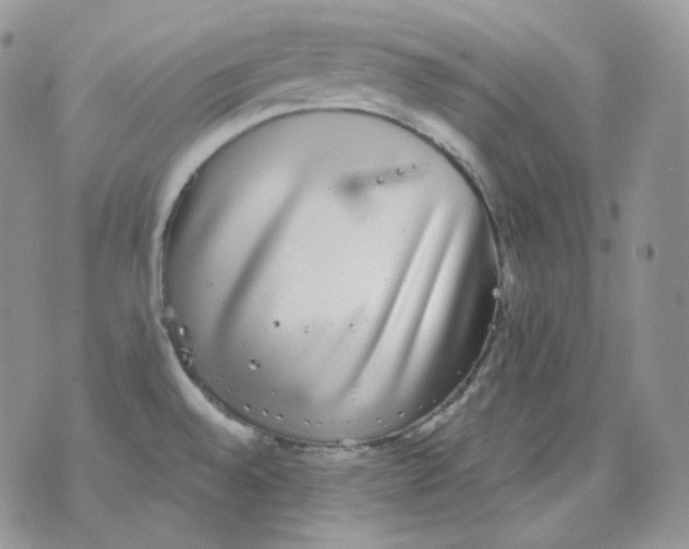 X0000070861528200607071845