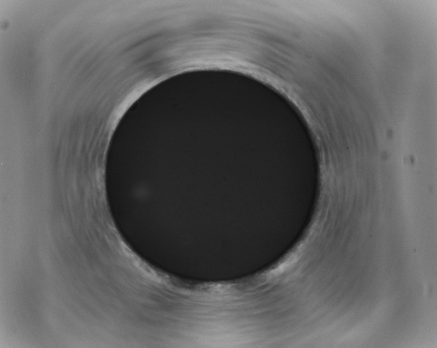 X0000070861529200607071845