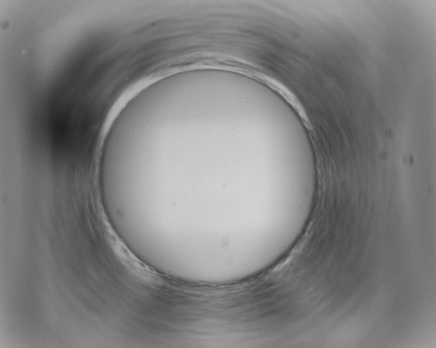 X0000070861530200607071845