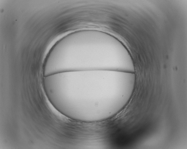 X0000070861531200607071845