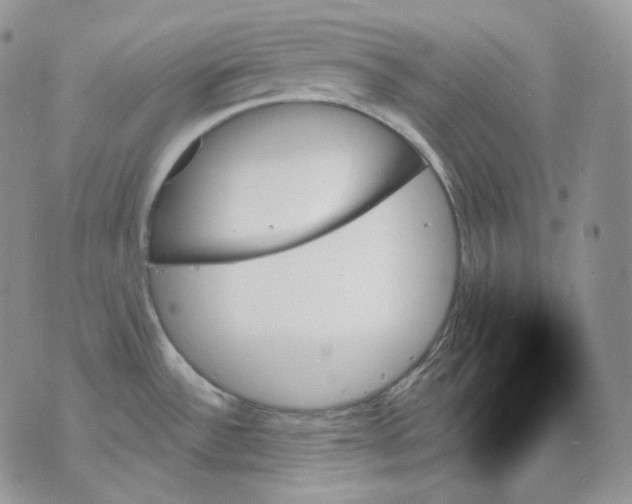 X0000070861532200607071845