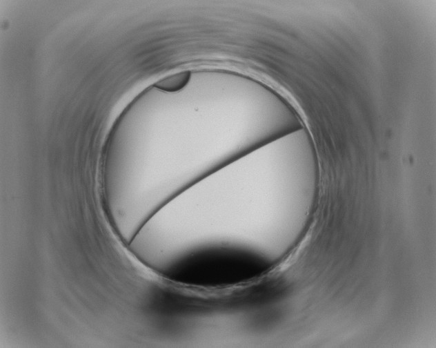 X0000070861533200607071845