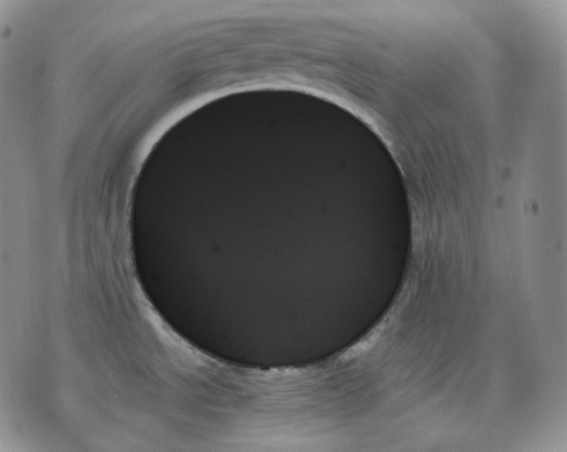 X0000070861534200607071845