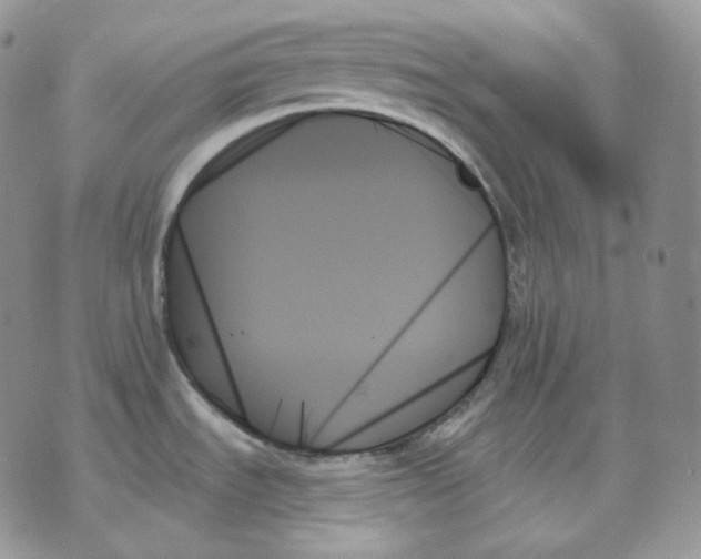 X0000070861535200607071845