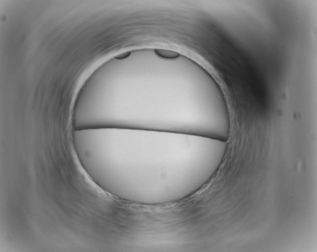 X0000070861536200607071845