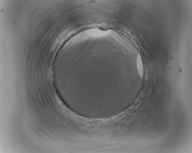X0000070860002200607150108