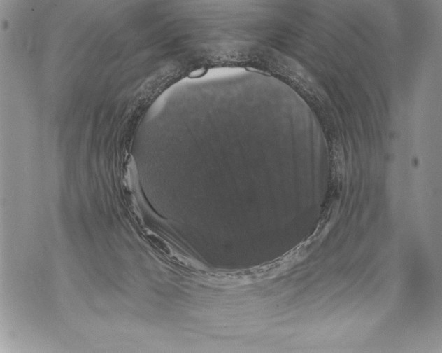X0000070860029200607150107