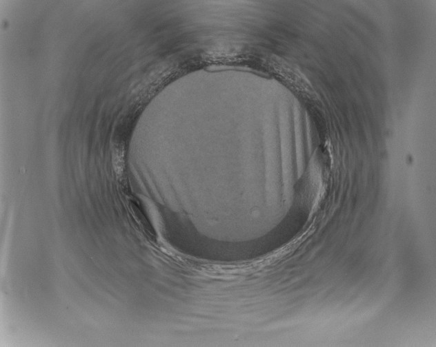 X0000070860033200607150107