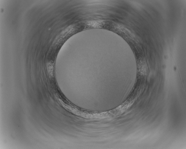 X0000070860036200607150107