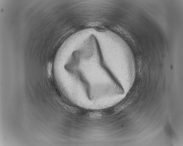 X0000070860075200607150107