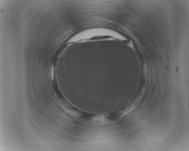 X0000070860076200607150107